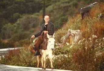 Esel auf Korfu