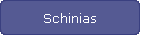 Schinias